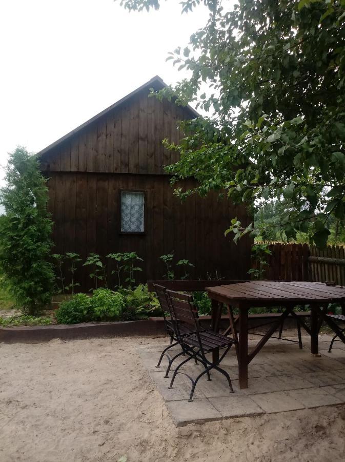 Skibowka Villa Susiec Екстериор снимка